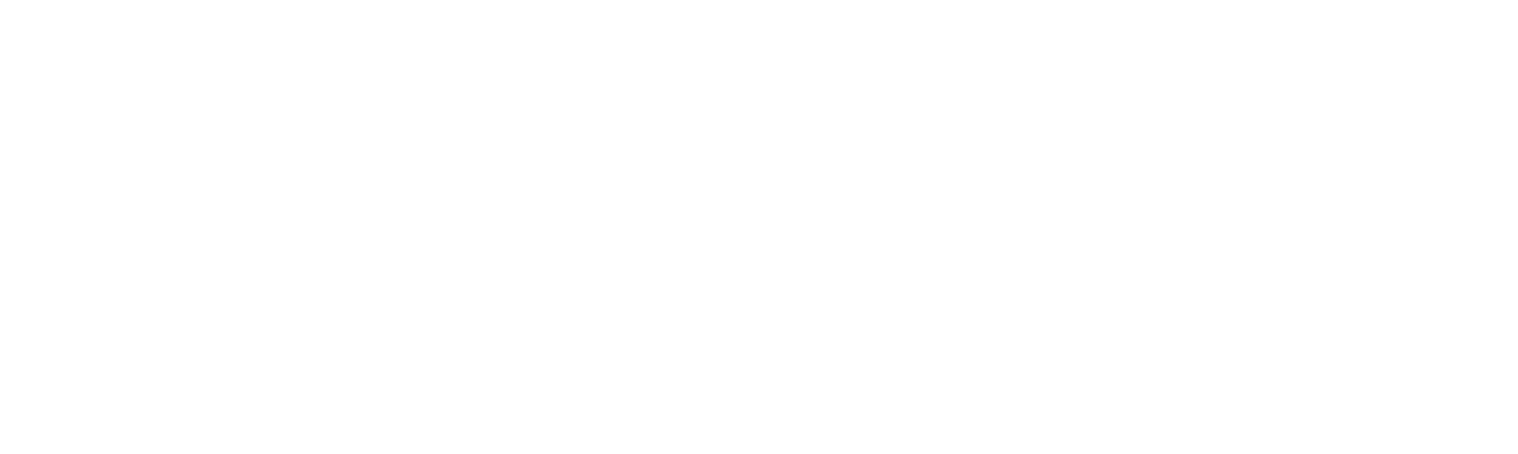 main logo